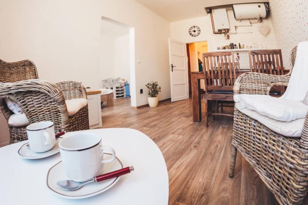 Stylovy Apartman V Centru Nachoda Exteriör bild