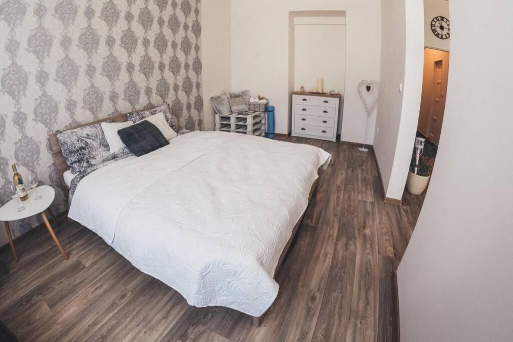 Stylovy Apartman V Centru Nachoda Exteriör bild